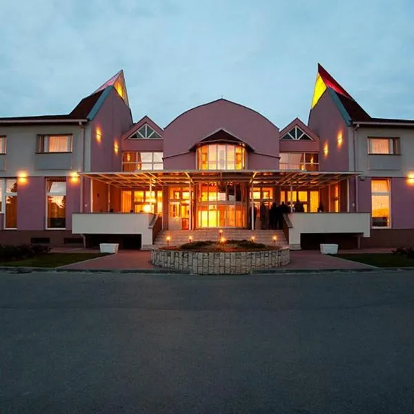 Hotel Blaža，位于Gundinci的酒店