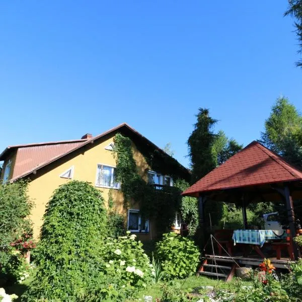Agroturystyka Tyniok，位于Sól的酒店