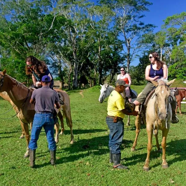 香蕉河岸旅馆&丛林骑马冒险园，位于Teakettle Village的酒店