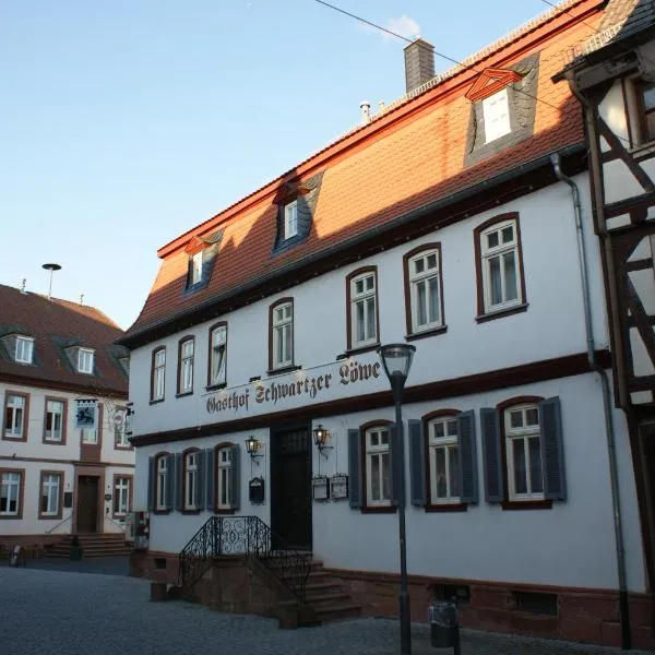 黑狮酒店，位于Münster bei Dieburg的酒店