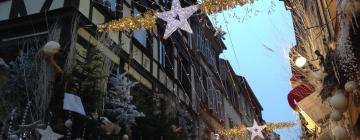 斯特拉斯堡圣诞市场周边酒店