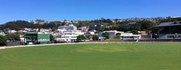 Basin Reserve Cricket Ground周边酒店