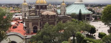 瓜达卢佩圣母堂周边酒店