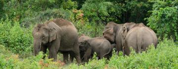 大象自然保护公园周边酒店