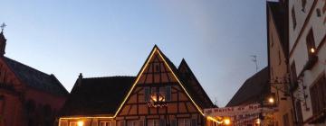 Eguisheim Christmas Market周边酒店