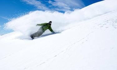 瓦萨里特萨滑雪度假村周边酒店
