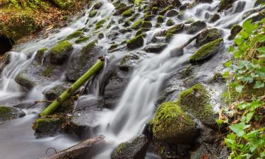 马雷公园周边酒店