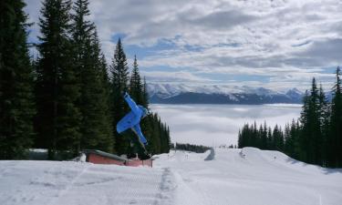 Marmot Basin Ski Area周边酒店