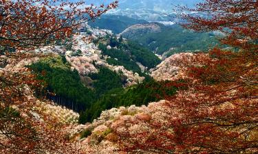 吉野山周边酒店