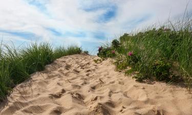 Cape Cod National Seashore周边酒店