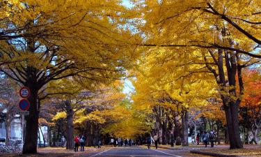 北海道大学周边酒店