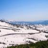 新雪谷安努普利滑雪缆车周边酒店