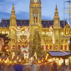 维也纳圣诞市场, 维也纳