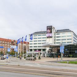瑞典展览及会议中心