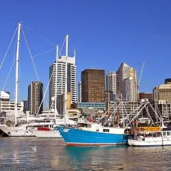 高架桥港, 奥克兰