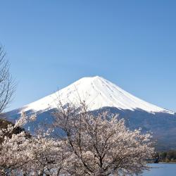 富士山, 富士河口湖