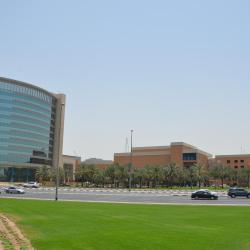 德伊勒城市中心购物中心, 迪拜