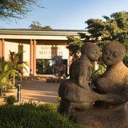 Nairobi National Museum, 内罗毕