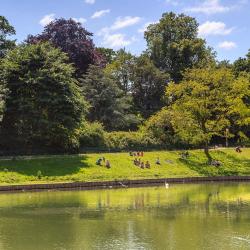 Stadspark Antwerp