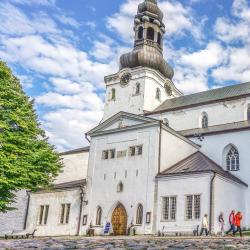 St Mary's Cathedral - Toomkirik, 塔林