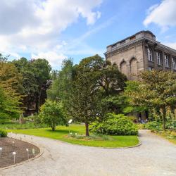 Botanical Garden Antwerp