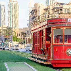 Dubai Trolley