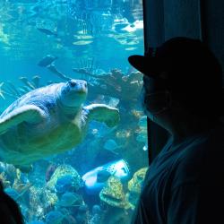 新英格兰水族馆