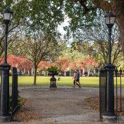 Washington Square