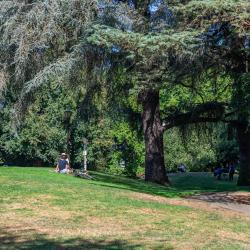 Couch City Park