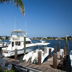 Lauderdale Yacht Club Marina