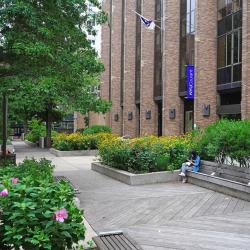 纽约大学 - NYU