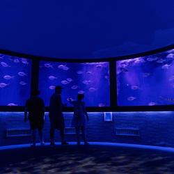 奥兰多海洋生物水族馆