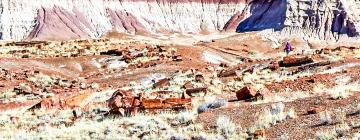 Petrified Forest National Park的豪华帐篷