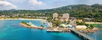 Ocho Rios Coast的乡村别墅