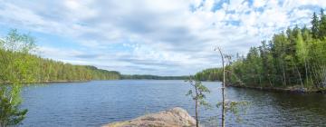 South Karelia的乡村别墅