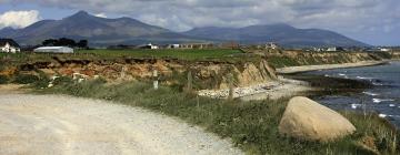 Mourne Mountains的住宿加早餐旅馆