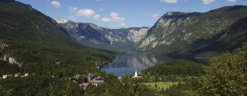 Bohinj Region的酒店