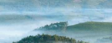 Munnar and Surroundings的旅馆