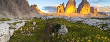 Nature park Tre Cime - Drei Zinnen的Spa酒店