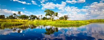 Okavango Delta的度假屋