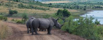 Pilanesberg National Park的度假屋