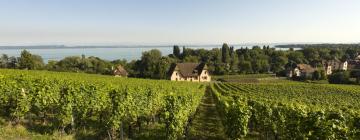 Lake Neuchatel的住宿加早餐旅馆