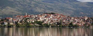 Kastoria Prefecture的公寓