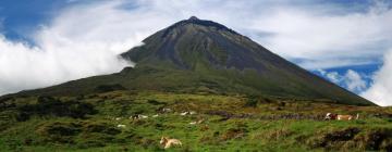 Pico island的度假短租房