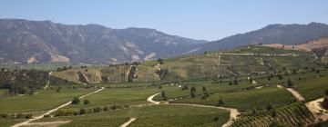 Colchagua Valley Wine Route的浪漫度假酒店