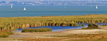 Neusiedler See-Seewinkel National Park的带停车场的酒店