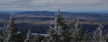 Okemo Mountain的宠物友好酒店