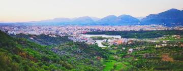 Tirana Region的青旅