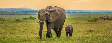 Maasai Mara National Reserve的住宿加早餐旅馆