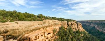 Mesa Verde National Park的宠物友好酒店